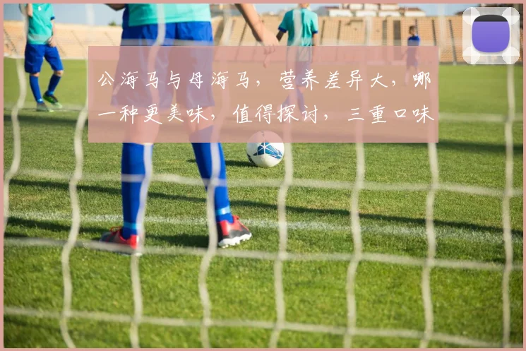 公海马与母海马，营养差异大，哪一种更美味，值得探讨，三重口味，等你来品鉴。